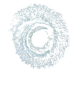 TRANZWAVE logo Without Slogan Transparent